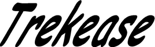 TREKEASE logo