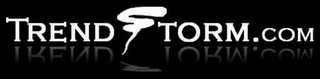 TRENDSTORM logo