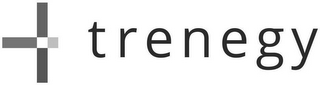 TRENEGY logo