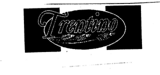 TRENTINO logo