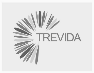 TREVIDA logo