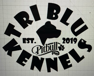 TRI BLU KENNELS PITBULL EST. 2019 logo