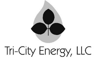 TRI-CITY ENERGY, LLC logo