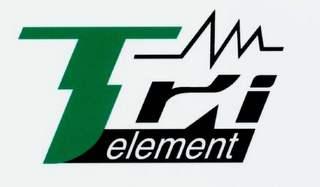 TRI ELEMENT logo
