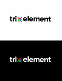 TRI ELEMENT logo