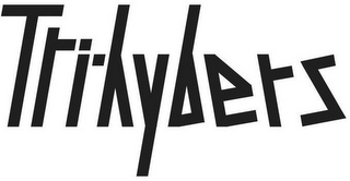 TRI-HYBERS logo
