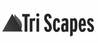 TRI SCAPES logo