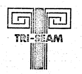 TRI-SEAM logo