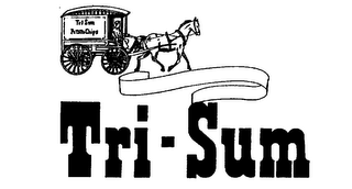 TRI-SUM logo