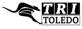 TRI TOLEDO logo