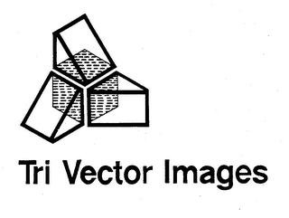 TRI VECTOR IMAGES logo