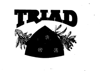 TRIAD logo