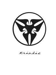 TRIADIC logo