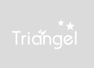 TRIANGEL logo