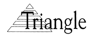 TRIANGLE logo