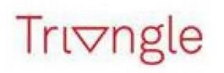 TRIANGLE logo