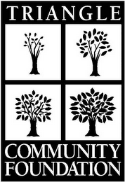 TRIANGLE COMMUNITY FOUNDATION logo