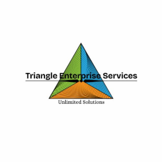 TRIANGLE ENTERPRISE SERVICES UNLIMITED SOLUTIONS logo
