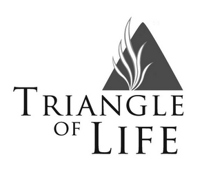 TRIANGLE OF LIFE logo