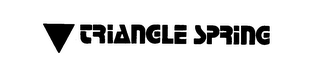 TRIANGLE SPRING logo