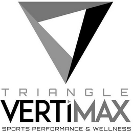 TRIANGLE VERTIMAX SPORTS PERFORMANCE & WELLNESS logo