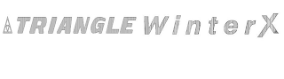 TRIANGLE WINTERX logo