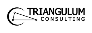 TRIANGULUM CONSULTING logo