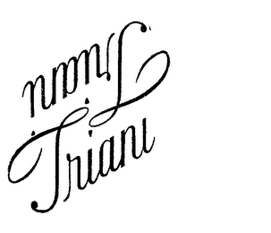 TRIANI logo