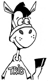 TRIB logo