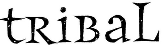 TRIBAL logo