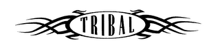 TRIBAL logo