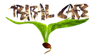 TRIBAL CAFE logo