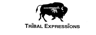 TRIBAL EXPRESSIONS logo