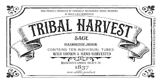 TRIBAL HARVEST SAGE logo