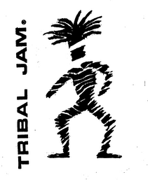 TRIBAL JAM logo