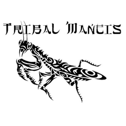 TRIBAL MANTIS logo