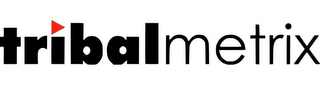 TRIBAL METRIX logo