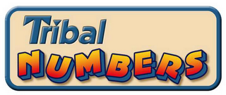 TRIBAL NUMBERS logo