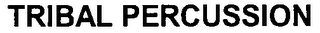 TRIBAL PERCUSSION logo