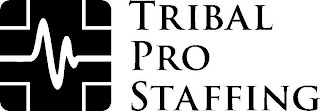 TRIBAL PRO STAFFING logo