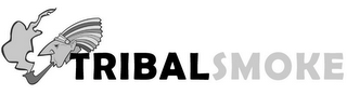 TRIBAL SMOKE logo