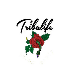 TRIBALIFE logo