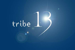 TRIBE 13 logo