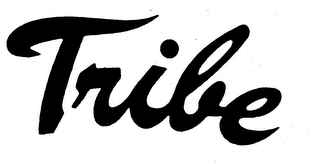 TRIBE logo