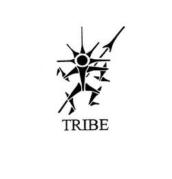 TRIBE logo