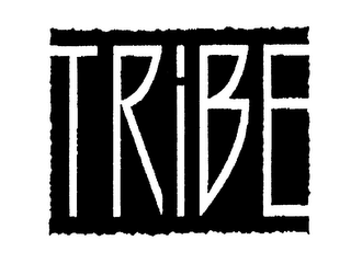 TRIBE logo