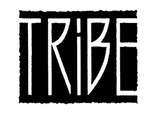 TRIBE logo