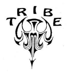 TRIBE logo