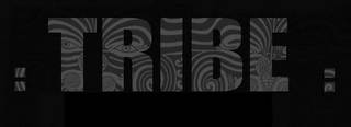 TRIBE logo