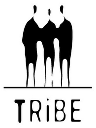 TRIBE logo
